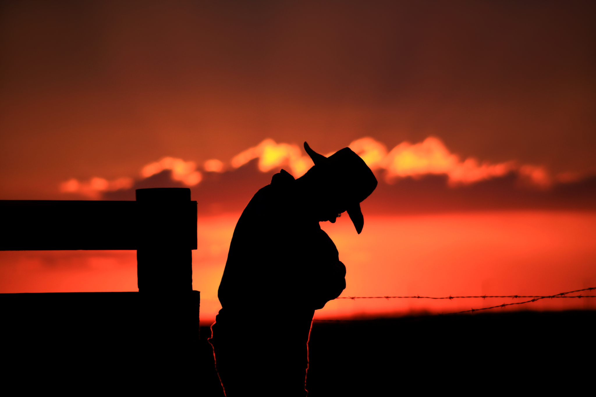 Blog post image: Managing anxiety, loneliness, and addiction during Stampede
